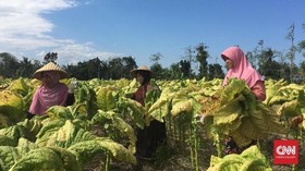 Pemkab Pasuruan Gelontorkan Rp19,3 Miliar BLT DBHCHT untuk Warga