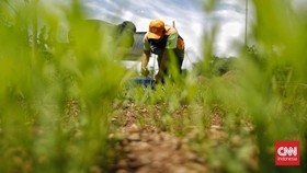 Pemkab Pasuruan Gelar Bimtek dan Salurkan Alat Pengolahan Kompos