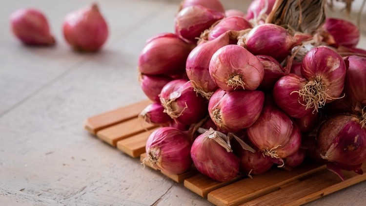 Ilustrasi bawang merah