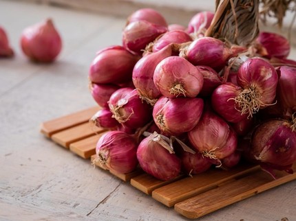 Cara Menanam Bawang Merah di Rumah agar Cepat Tumbuh & Panen Melimpah