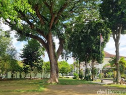 Viral Murid SMSR Jogja Pasang Poster Tolak Penebangan Pohon di Sekolah