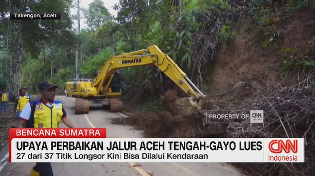VIDEO: Tiga Alat Berat Dikerahkan Bersihkan Kayu Gelondongan