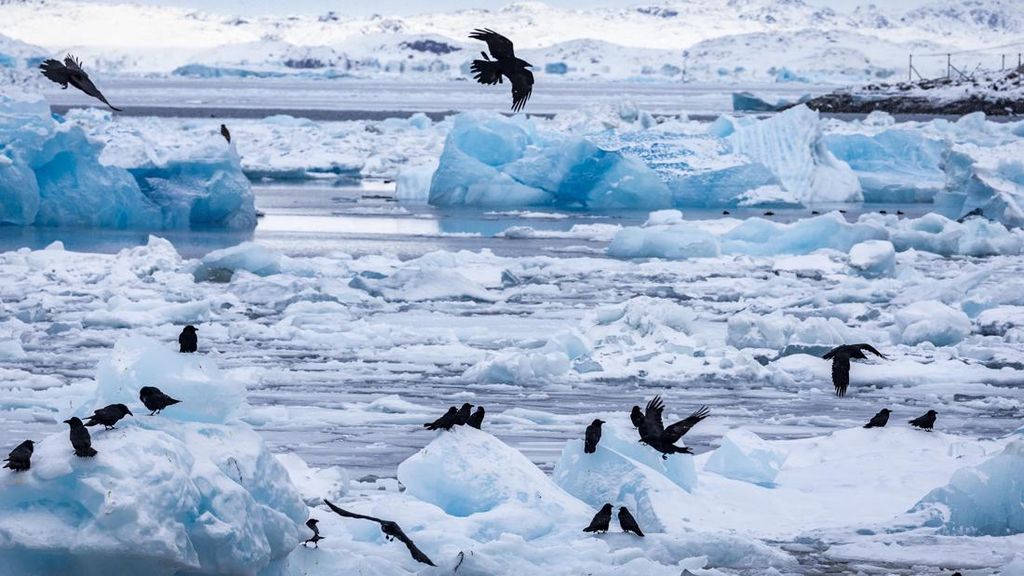 Nasib Greenland Makin Tak Menentu, Kini Lapisan Es Mencair Makin Cepat