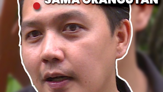 Video: Rencana Dearly Dave di Natal dan Tahun Baru: Mau Lihat Orangutan