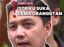 Video: Rencana Dearly Dave di Natal dan Tahun Baru: Mau Lihat Orangutan