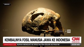 VIDEO: Wajah Baru Museum Nasional: Kembalinya Homo Erectus