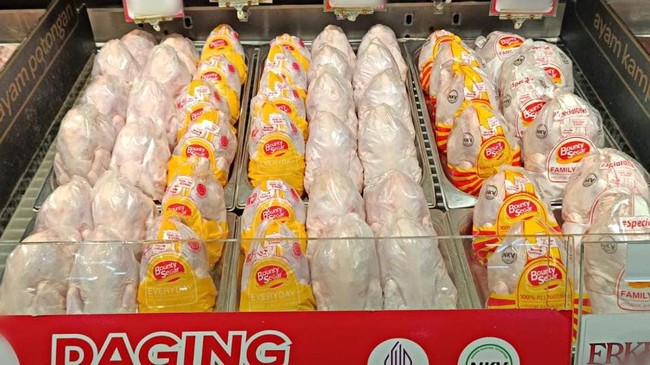 Di Transmart Full Day Sale hari ini, Minggu (25/1), Anda bisa dapatkan diskon untuk aneka produk segar seperti ayam broiler.