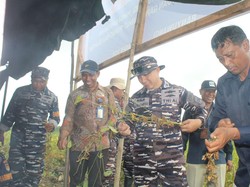 TNI AL Banyuwangi Panen Hampir 4 Ton Kedelai Garuda Merah Putih