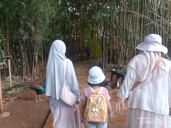 Cerita Seharian Menghabiskan Libur Sekolah Bareng Keponakan