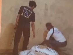 Hii Kobra Jawa 1 Meter Bersarang di Gudang Gabah Milik Warga Klaten