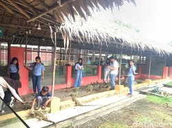 Wisata Edukasi Burung di Palembang Ramai Diserbu Pengunjung Saat Libur Nataru