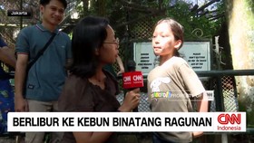 VIDEO: Liburan Natal di Jakarta, Ragunan Jadi Pilihan Warga
