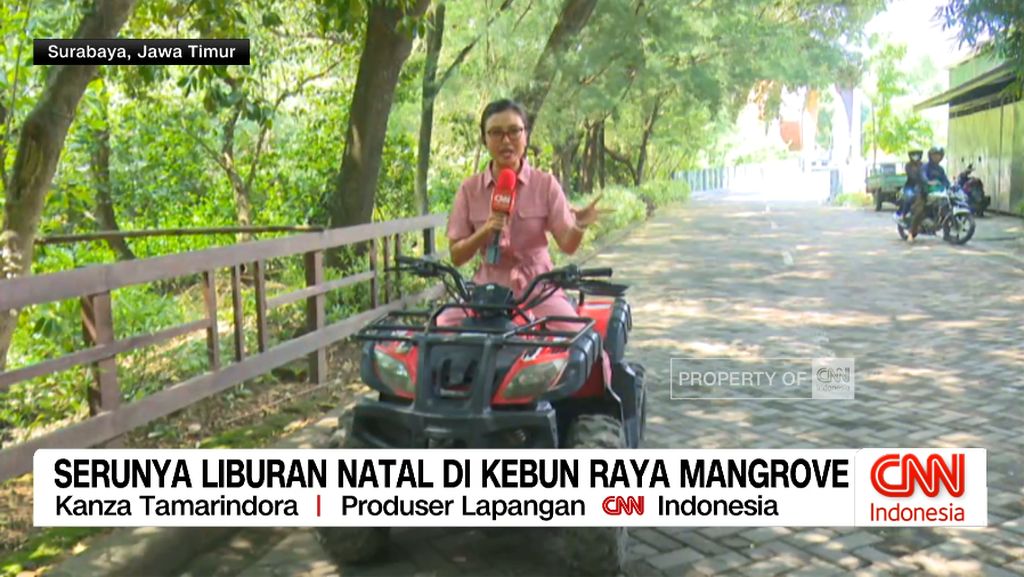 VIDEO: Serunya Liburan Natal Di Kebun Raya Mangrove