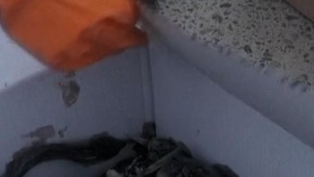 Tangki Minyak Ukraina Bocor Diserang Rusia, Puluhan Burung Terdampak