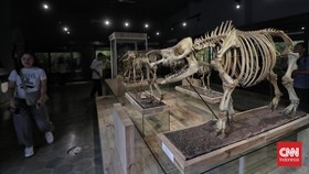 FOTO: Melancong ke Museum Zoologi dan Kebun Raya Bogor di Libur Nataru