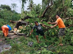 Hujan Angin Landa Karangasem, Warung hingga Motor Tertimpa Pohon Tumbang