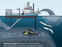 Penambangan Tak Hanya di Darat tapi Kini di Laut, Studi Ungkap Dampak Ngerinya