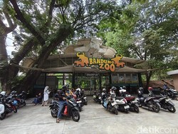 Bandung Zoo Kembali Diserbu Wisatawan: Masuk Gratis Tapi...