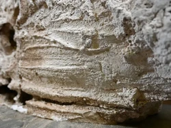 Ilmuwan Temukan Praktik Pemakaman Era Romawi, Diplester Semen