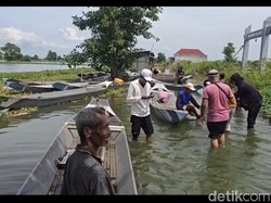 Sudah Sebulan Lebih Banjir Bengawan Njero Rendam Desa di Lamongan