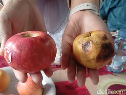 Ortu Siswa Temukan Apel Busuk di Menu MBG SDN 18 Tumampua Pangkep