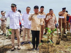 Cegah Abrasi di Karawang, Bupati Aep Tanam 5.000 Mangrove
