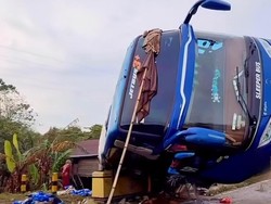 Bus Bintang Timur Terguling di Wajo, Semua Penumpang Dilarikan ke Rumah Sakit