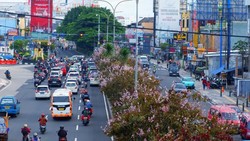 Depok Makin Hijau, Lahan Kritis Disulap Jadi RTH Asri
