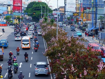Depok Makin Hijau, Lahan Kritis Disulap Jadi RTH Asri