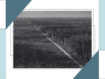 Luruhnya Daun Terakhir: Kala 'Benteng Alam' yang Tak Lagi Bisa Melindungi