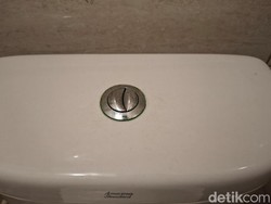 Banyak Kloset Duduk Punya 2 Tombol Flush, Apa Sih Fungsinya?