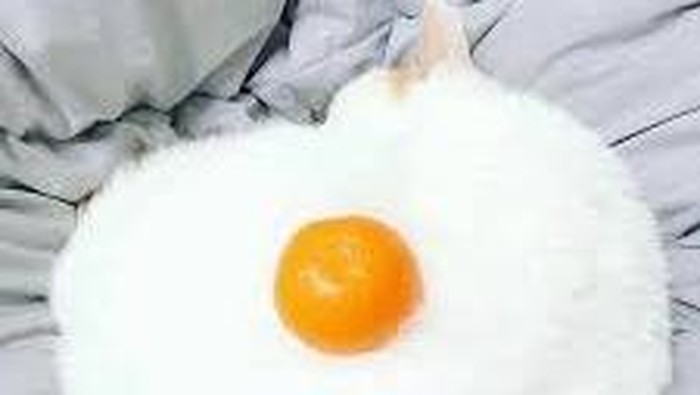 Tes Kepribadian: Telur Mata Sapi, Jeruk, atau Kucing yang Pertama Kamu Lihat? Ini Artinya!