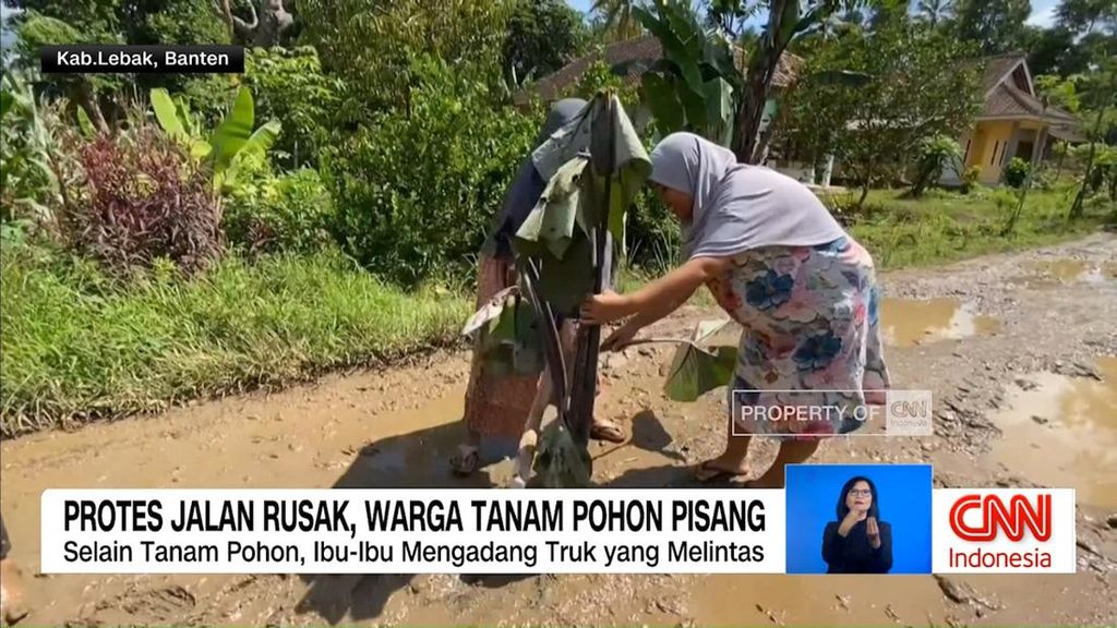 VIDEO: Protes Jalan Rusak, Warga Tanam Pohon Pisang