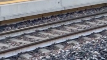 Penamapakan Rusa Lari-lari di Stasiun Kereta Bikin Heboh Italia