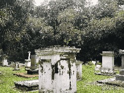 Jejak Makam Belanda dan Freemason di Kebun Raya Bogor