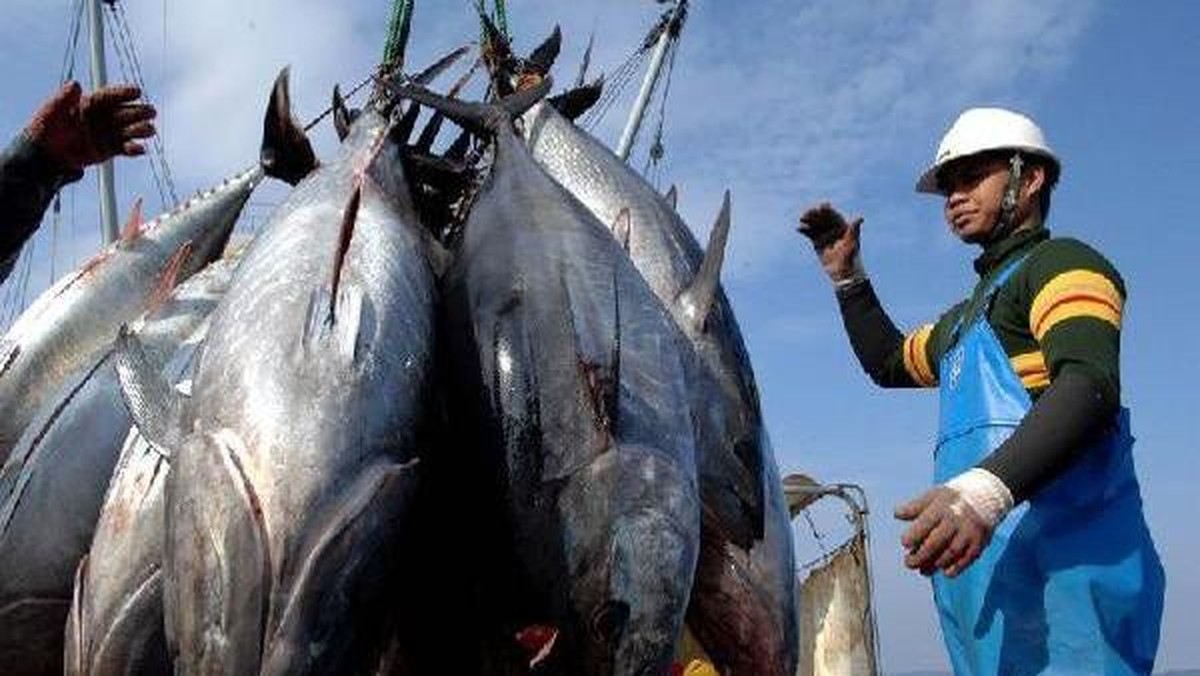Bikin Bangga! RI Jadi Raja Ikan Tangkap Laut Dunia