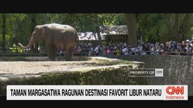 VIDEO: Taman Margasatwa Ragunan Destinasi Favorit Libur Nataru