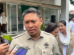 Bocoran dari Wamentan Jadwal Pengumuman RI Swasembada Pangan