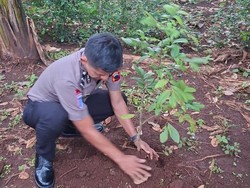 Lestarikan Lingkungan, Kapolda Jateng Ajak Anggota Naik Pangkat Tanam 13 Ribu Pohon