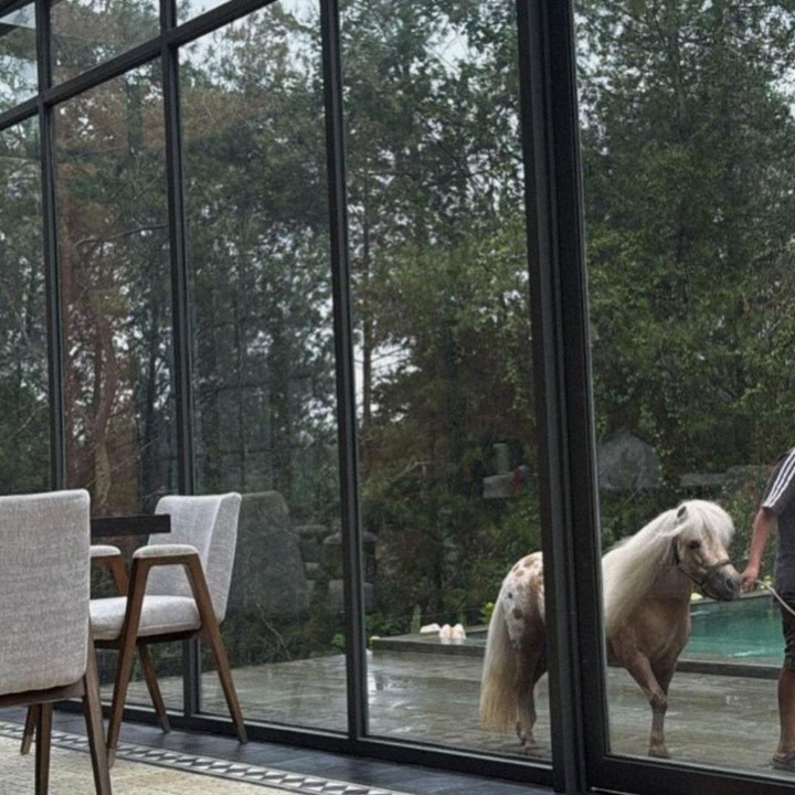 <p>Sudut rumah kakak Shireen Sungkar ini dibatasi dengan kaca besar, di mana dinding, jendela, hingga bagian atapnya didominasi material kaca. Dari tampilannya, terlihat pepohonan hijau yang mengelilingi area rumah, sehingga suasananya terasa sejuk dan menyatu dengan alam di sekelilingnya, Bunda. (Foto: Instagram @zaskiasungkar15)</p>