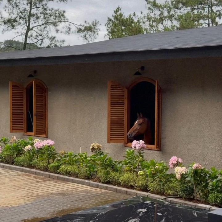 <p>Dalam potret lainnya, tampak kandang kuda di rumah Zaskia Sungkar mengusung konsep bergaya luar negeri, dengan jendela yang memungkinkan kuda melihat ke luar, sehingga memberikan kesan 'hidup' di dalam kandang. Kandang ini juga dibuat dengan desain klasik atau modern minimalis. "Sehat2 syg, Masya Allah Tabarakallah," ungkap Zaskia. (Foto: Instagram @zaskiasungkar15)</p>