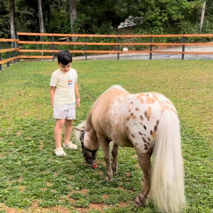 <p>Didesain dengan totalitas, rumah Zaskia Sukar ini memiliki area luas di mana kudanya bisa dilepas dan bermain, Bunda. Dalam potretnya ini, terlihat putra Zaskia, Ukkasya, tampak menikmati momen bermainnya bersama kuda tersebut. (Foto: Instagram @zaskiasungkar15)</p>
