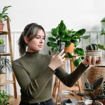 8 Tanaman Paling Mudah untuk Dirawat, Cocok untuk Pemula!