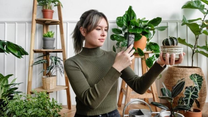 8 Tanaman Paling Mudah untuk Dirawat, Cocok untuk Pemula!