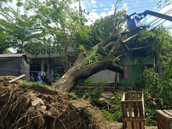 Cuaca Ekstrem Picu Tiga Alam Bencana di Trenggalek