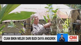 VIDEO: Hobi Anggrek Polisi Banyumas Berbuah Cuan Jutaan