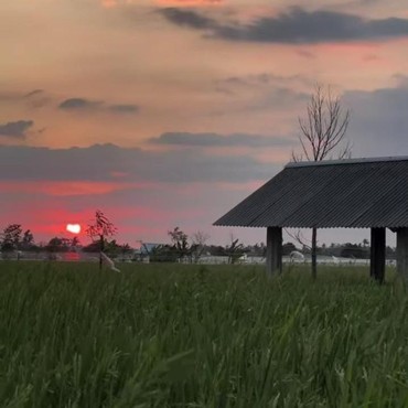 Fakta Menarik Bilebante, Desa Hijau di Lombok Tengah