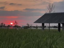 Fakta Menarik Bilebante, Desa Hijau di Lombok Tengah