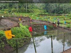 Desa Wisata Sumberdem Malang yang Cocok Buat Weekend Pertama 2026