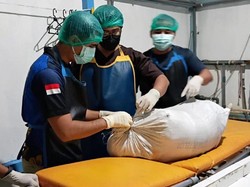 Kronologi Temuan Karung Isi Mayat dalam Kamar Kos di Sanggau